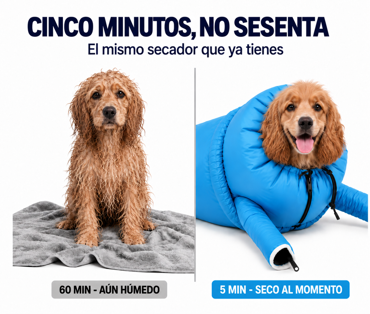 DryPaw™ Bolsa Secadora para Mascotas